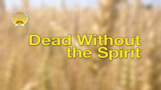 Dead Without the Spirit Service Preview