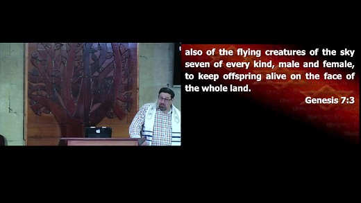 Noah and the giving of the Torah