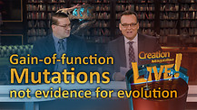 (7-19) Gain of function mutations: not evidence for evolution
