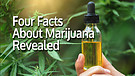 Four Facts About Marijuana Revealed