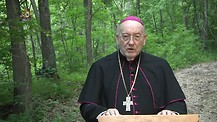 Forgiveness of Insults - Bishop Jean Marie, snd speaks to you