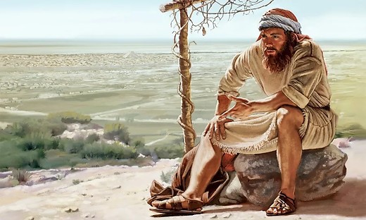 Jonah (7): God's Heart of Compassion (Jonah 3.10 - 4.11)