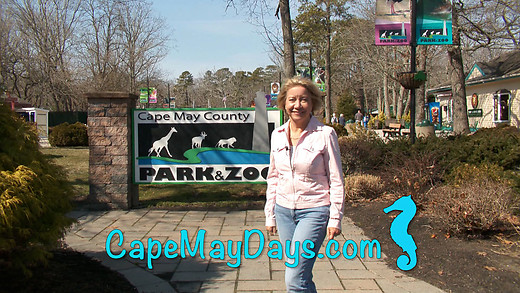 A Visit to the Cape May County Zoo with Cape May Days