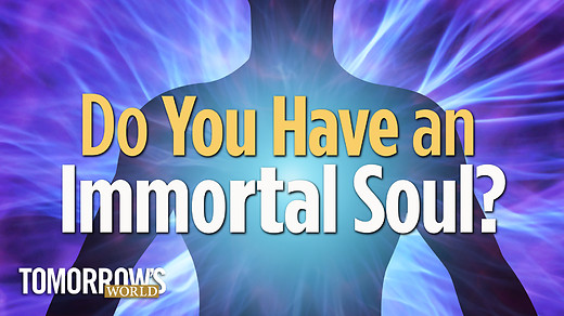 Do You Have an Immortal Soul?