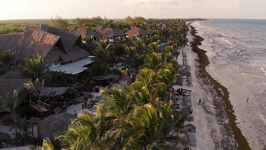 LEILA LIVE - DINNER & DANCING IN MIA TULUM -