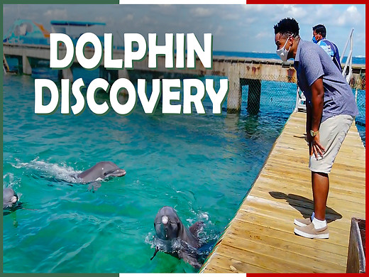 Isla Mujeres - Episode Six: Dolphin Discovery