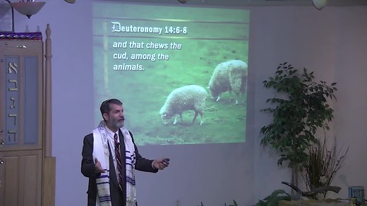 L'Chaim to Life - Daniel 1